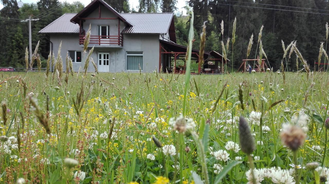Cabana Georgiana Arieşeni Exterior foto